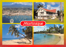 972-MARTINIQUE-N°3809-A/0193 - Otros & Sin Clasificación