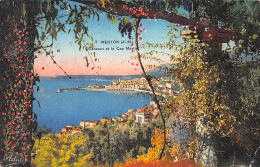 06-MENTON-N°3809-E/0253 - Menton