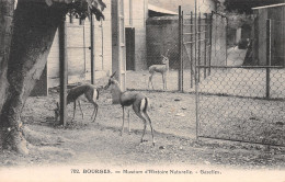 18-BOURGES-N°3809-E/0005 - Bourges