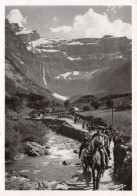 65-GAVARNIE-N°3809-D/0173 - Gavarnie