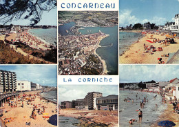 29-CONCARNEAU-N°3809-D/0093 - Concarneau