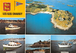 50-LES ILES CHAUSEY-N°3810-C/0153 - Other & Unclassified