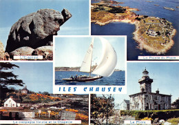 50-LES ILES CHAUSEY-N°3810-C/0155 - Autres & Non Classés