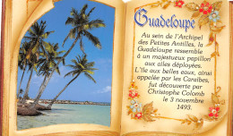 971-GUADELOUPE-N°3810-B/0355 - Andere & Zonder Classificatie