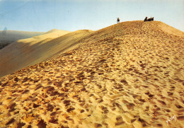 33-DUNE DU PILAT-N°3810-B/0291 - Sonstige & Ohne Zuordnung