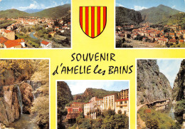 66-AMELIE LES BAINS-N°3810-A/0125 - Other & Unclassified
