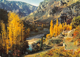 48-GORGES DU TARN-N°3811-A/0103 - Gorges Du Tarn