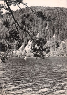 88-VOSGES LAC DE LONGEMER-N°3811-A/0085 - Autres & Non Classés