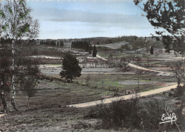 19-PLATEAU DES MILLEVACHES-N°3813-A/0193 - Autres & Non Classés