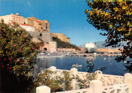 20-CORSE CALVI-N°3813-A/0273 - Calvi