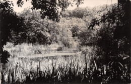 77-FONTAINEBLEAU-N°3813-E/0239 - Fontainebleau