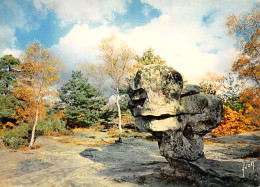 77-FONTAINEBLEAU-N°3813-D/0357 - Fontainebleau