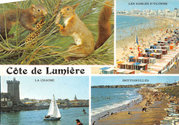 85-COTE DE LUMIERE-N°3813-D/0165 - Other & Unclassified