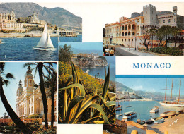 06-MONACO-N°3814-B/0377 - Autres & Non Classés