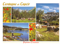 66-CERDAGNE ET CAPCIR-N°3815-A/0195 - Andere & Zonder Classificatie