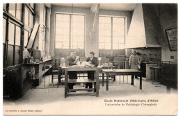 Ecole Nationale Vétérinaire. Laboratoire De Pathologie Chirurgicale - Maisons Alfort