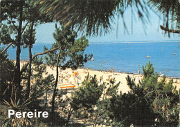 33-ARCACHON-N°3815-D/0159 - Arcachon