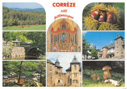 19-CORREZE-N°3816-D/0049 - Autres & Non Classés