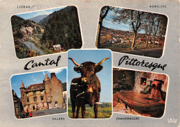 15-CANTAL-N°3816-B/0243 - Other & Unclassified