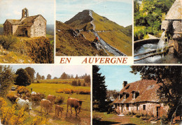 15-AUVERGNE-N°3816-B/0061 - Other & Unclassified