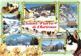 38-SAINT PIERRE DE CHARTREUSE-N°3817-A/0383 - Autres & Non Classés