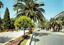 83-HYERES LES PALMIERS-N°3816-D/0367 - Hyeres