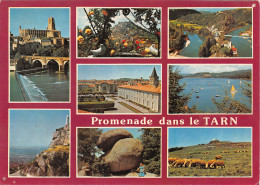 81-LE TARN-N°3816-D/0203 - Andere & Zonder Classificatie