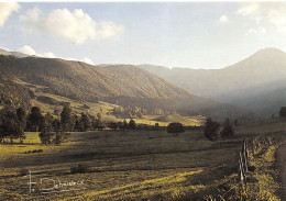 15-VALLEE DE CHEYLADE-N°3817-D/0143 - Autres & Non Classés