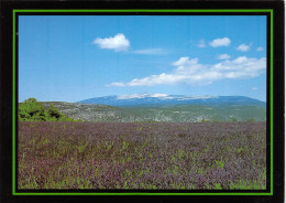 84-MONT VENTOUX-N°3818-A/0287 - Autres & Non Classés