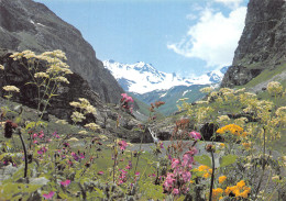 73-MASSIF DE LA VANOISE-N°3819-B/0349 - Autres & Non Classés