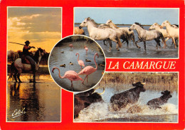 13-EN CAMARGUE-N°3819-B/0323 - Other & Unclassified