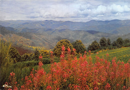 48-LES CEVENNES PAYSAGE-N°3820-A/0085 - Sonstige & Ohne Zuordnung