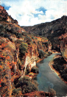 48-GORGES DU TARN-N°3820-C/0103 - Gorges Du Tarn