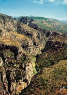 04-GORGES DU VERDON-N°3820-C/0047 - Andere & Zonder Classificatie