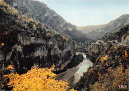 48-GORGES DU TARN-N°3822-B/0035 - Gorges Du Tarn