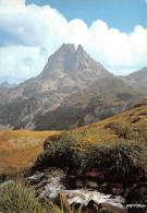 64-LE PIC DU MIDI D OSSAU-N°3822-D/0283 - Autres & Non Classés