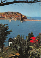 66-COLLIOURE-N°3822-D/0105 - Collioure