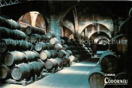 73026143 Sant Sadurni D Anoia Cavas Codorniu Celler Gran  Sant Sadurni D Anoia - Other & Unclassified