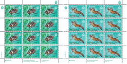 San Marino 2024 Europa CEPT Underwater Fauna Bug Triton Set Of 2 Sheetlets MNH - Blocs-feuillets