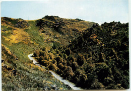 GOUAREC Les Gorges Du DAOULAS RR 1226 - Gouarec