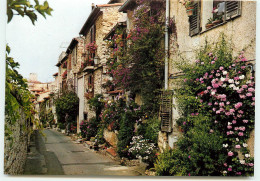 ANTIBES La Rue Du Castelet RR 1223 - Antibes