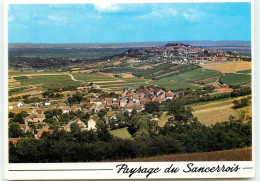 SANCERRE  Au Premier Plan  AMIGNY  RR 1222 - Sancerre