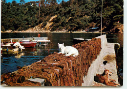 TOULON Port Mejean  édition Gai Soleil  RR 1219 - Toulon