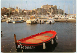 CALVI  Le Port  RR 1203 - Calvi