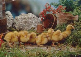 OSTERN HUHN Vintage Ansichtskarte Postkarte CPSM #PBO966.DE - Pâques