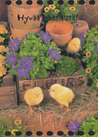 OSTERN HUHN EI Vintage Ansichtskarte Postkarte CPSM #PBO655.DE - Pascua