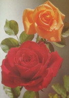 FLOWERS Vintage Ansichtskarte Postkarte CPSM #PAS081.DE - Flowers