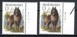 BE  2214  XX   ----   Races Canines Belges  --  N° De Planche 1 Et 2 - 1981-1990