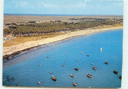 NOIRMOUTIER Vue Aerienne Sur La Plage Et Le Camping  RR 1231 - Noirmoutier