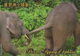 ELEFANTE Animales Vintage Tarjeta Postal CPSM #PBS771.ES - Éléphants